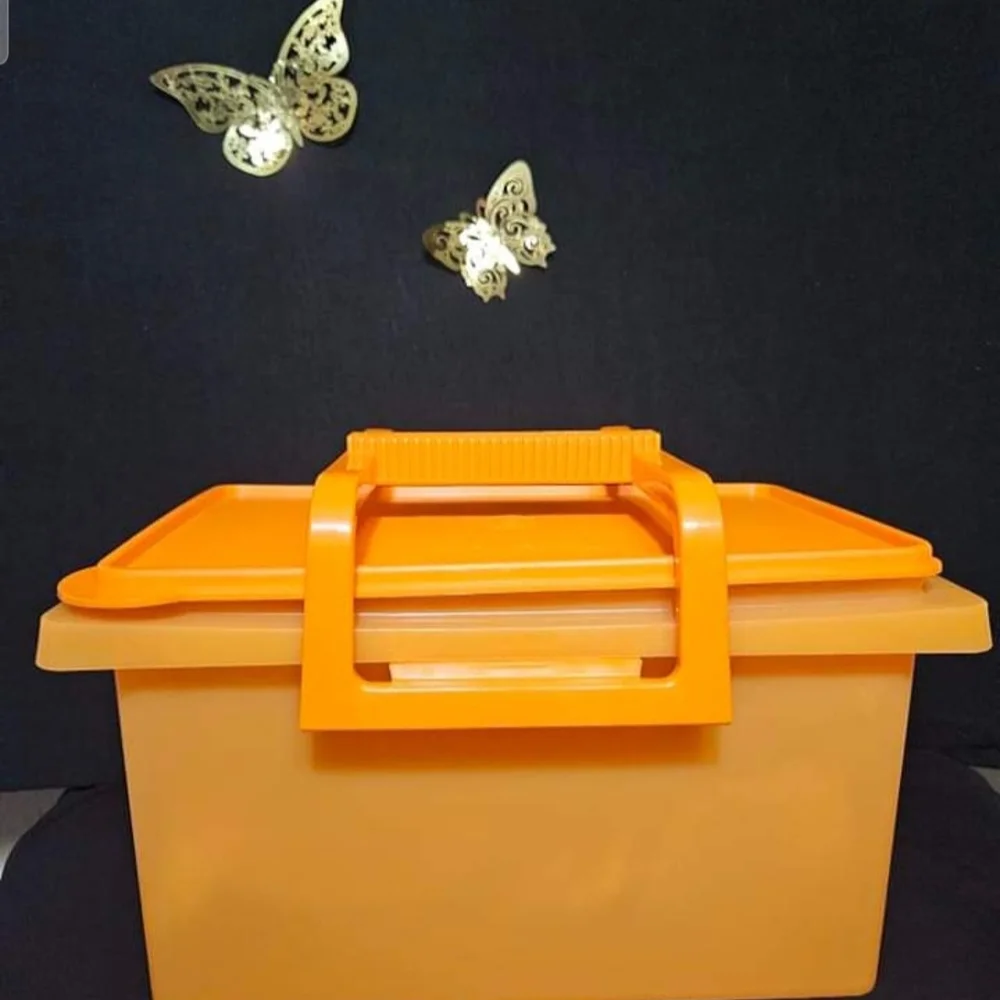 Tupperware Orange Storage Box